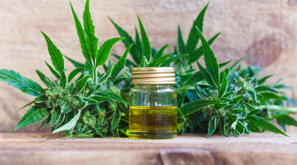 Cannabis plant and terpene formulation